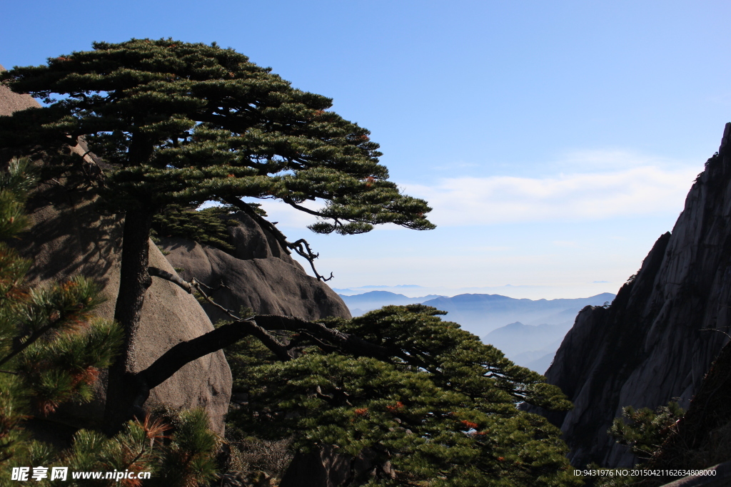 黄山云海风光图片