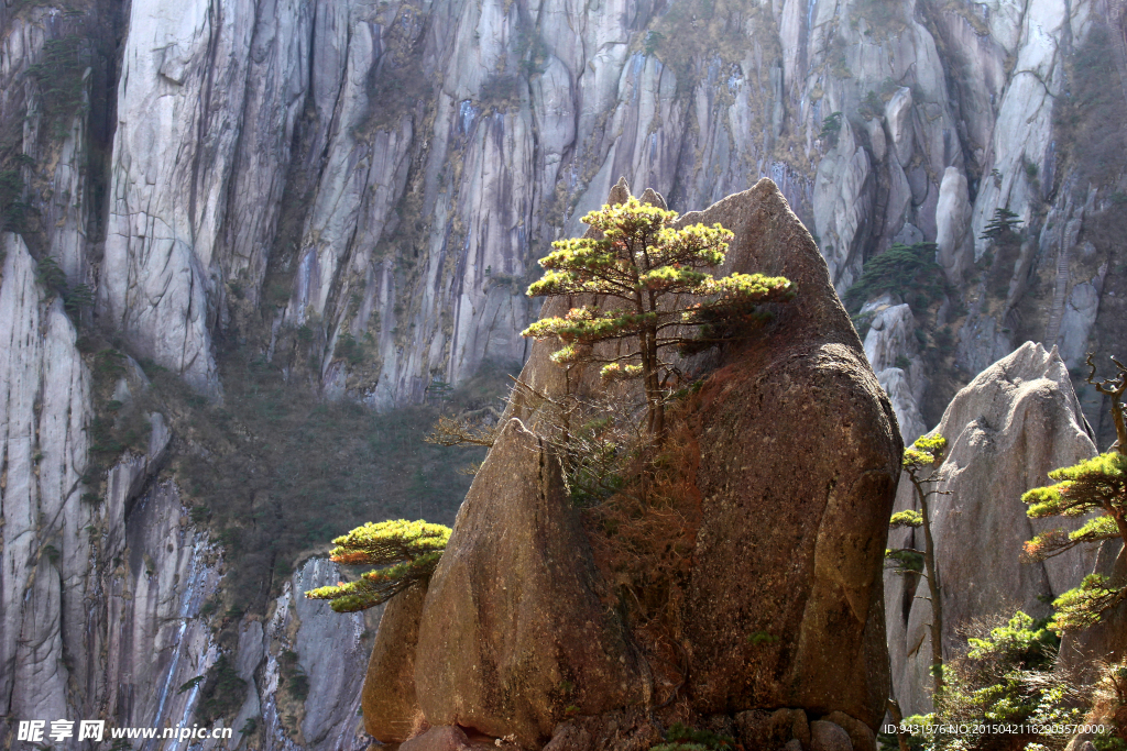 黄山云海风光图片