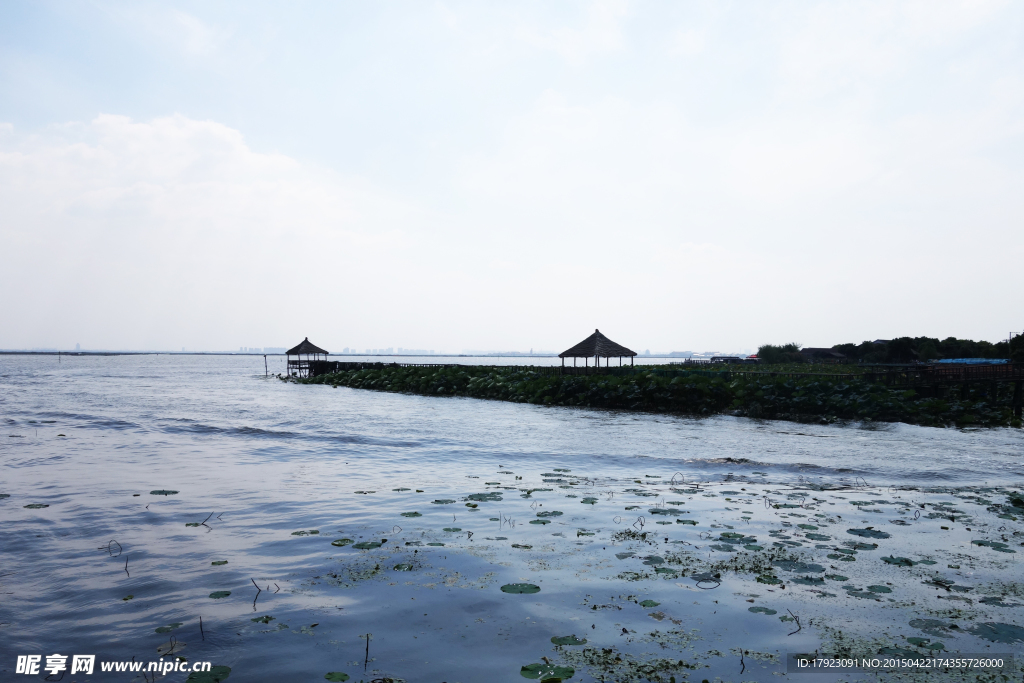 阳澄湖莲花岛