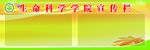 展板
