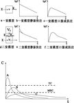 静脉注射 图表