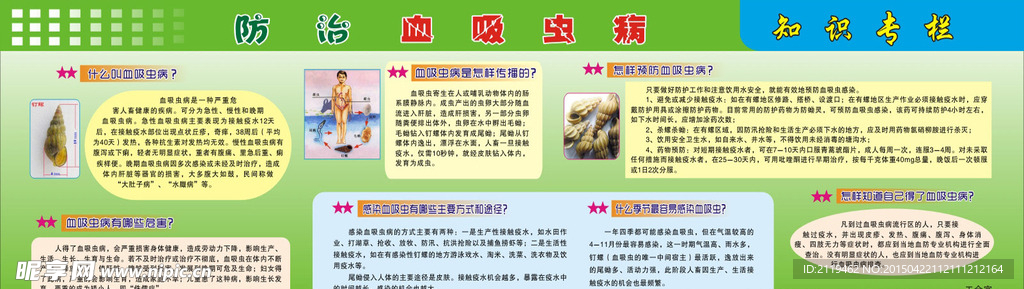 血吸虫