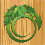 木纹 树叶
