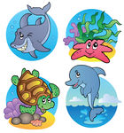 海洋生物