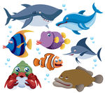 海洋生物