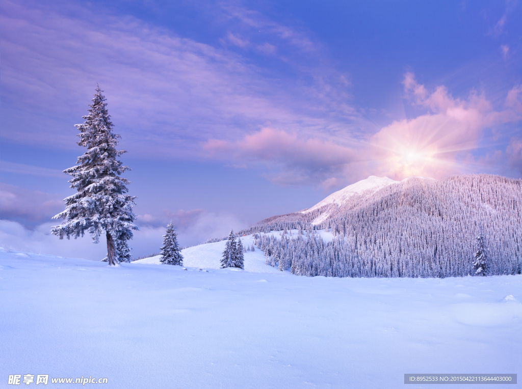 雪景