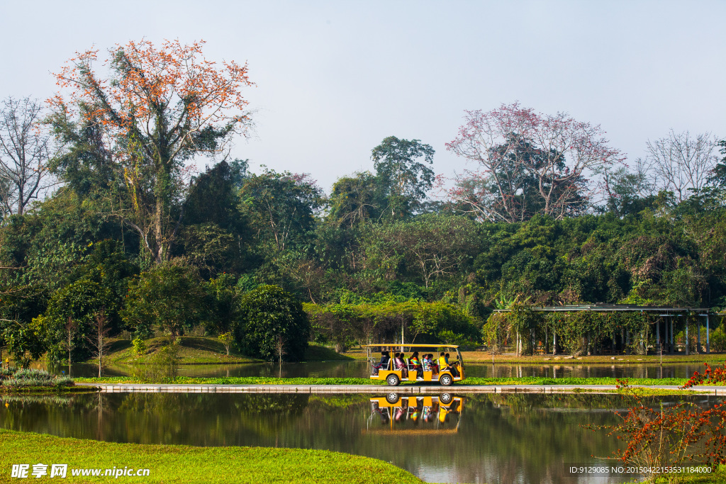 西双版纳热带植物园