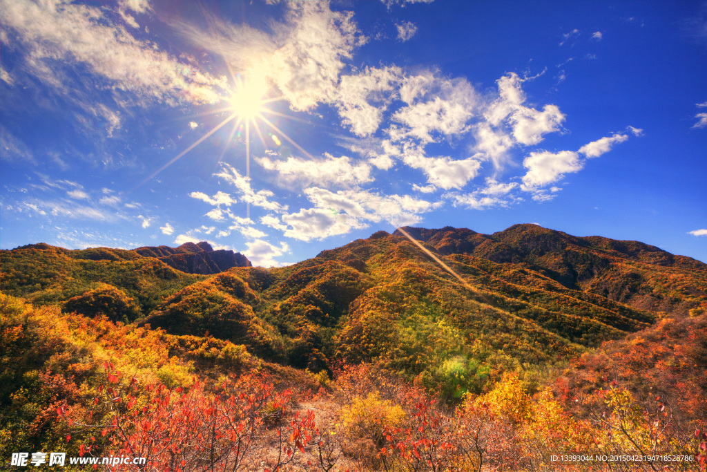 秋天枫叶风景图