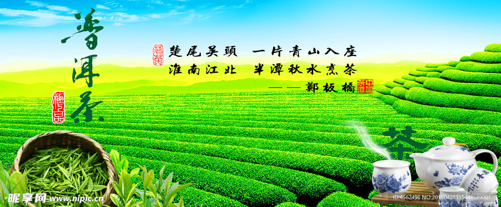 茶