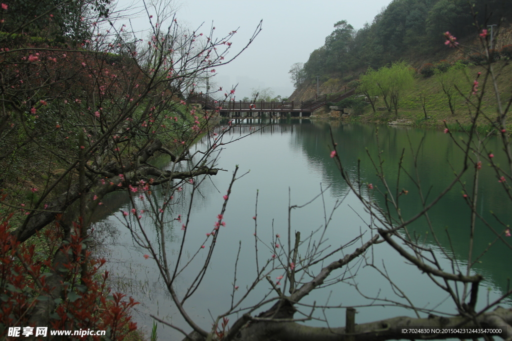 公园风景