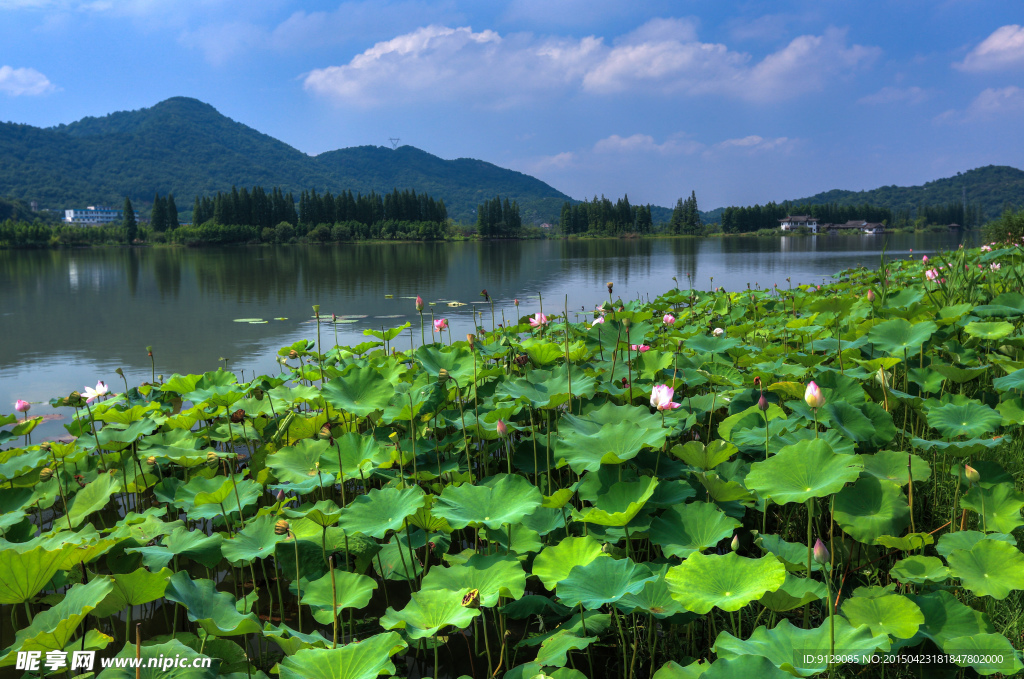 萧山湘湖