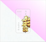 水彩手绘透明名片