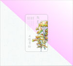水彩手绘透明名片