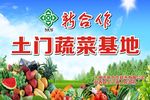 蔬菜基地