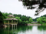 六安万佛湖