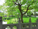 上海淀山湖风景区