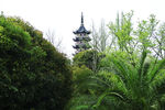 上海淀山湖风景区