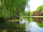 上海世纪公园