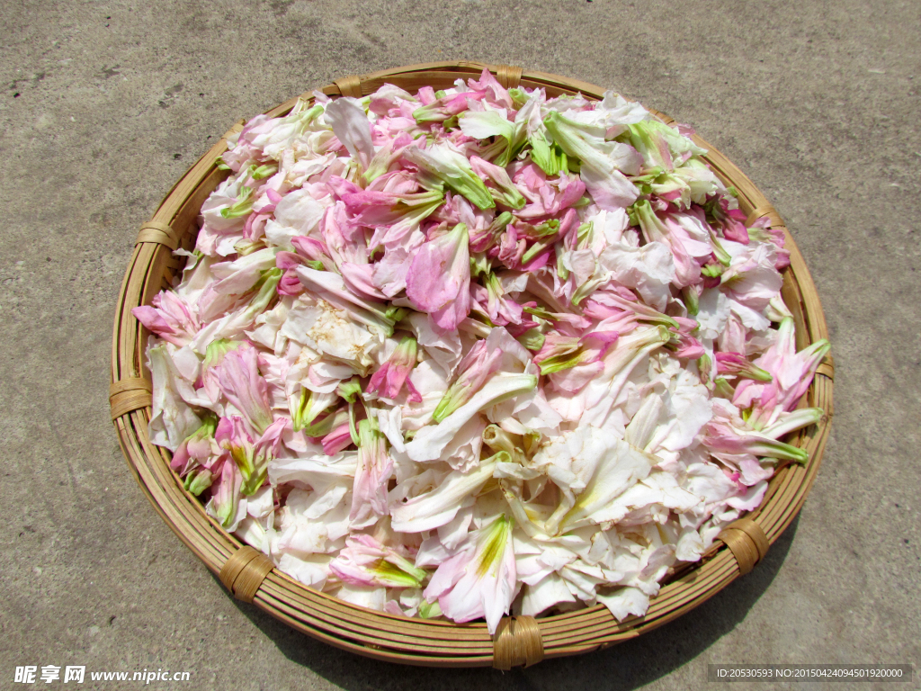 鲜花食材