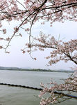 太湖