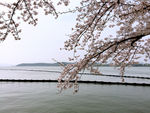 太湖