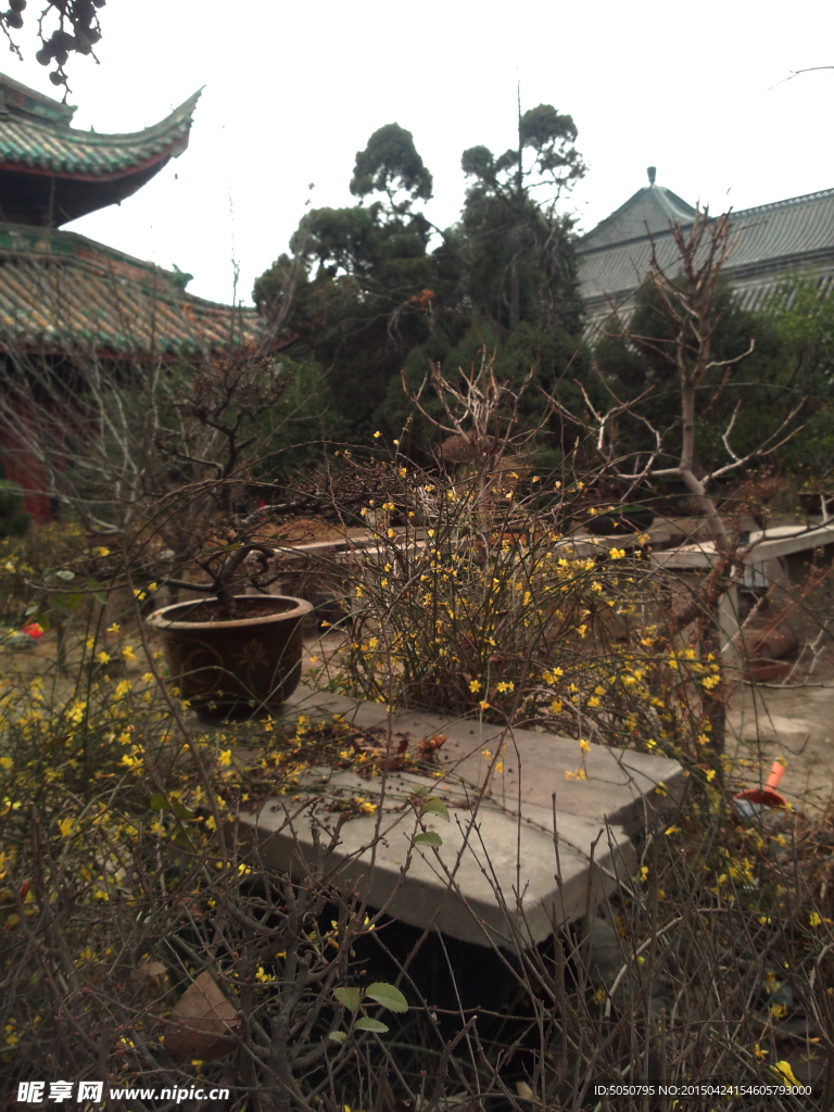 相国寺一角