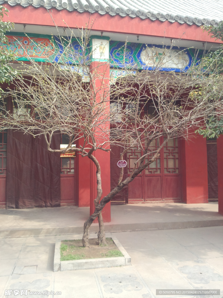相国寺一角