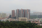 鸟瞰城市