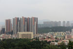 鸟瞰城市