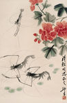齐白石 花鸟 虾