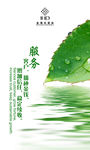 播种企业文化