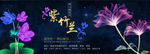 设计网站banner