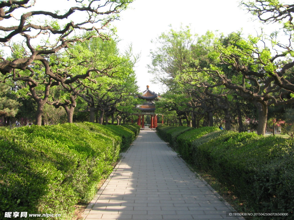 绿化景观