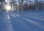 林海雪原