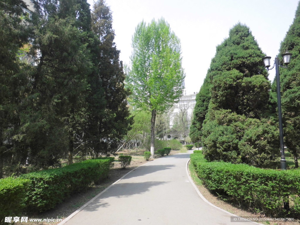 林间小路