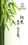 阳光企业文化