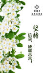 坚持文化