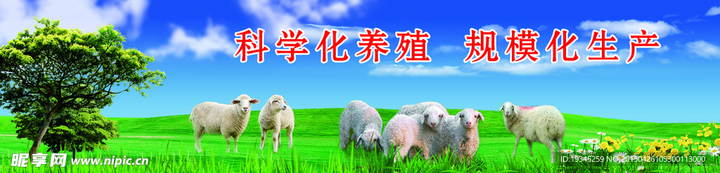 风景画