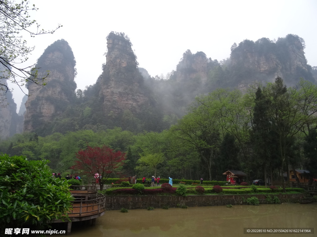 张家界森林公园风景图片