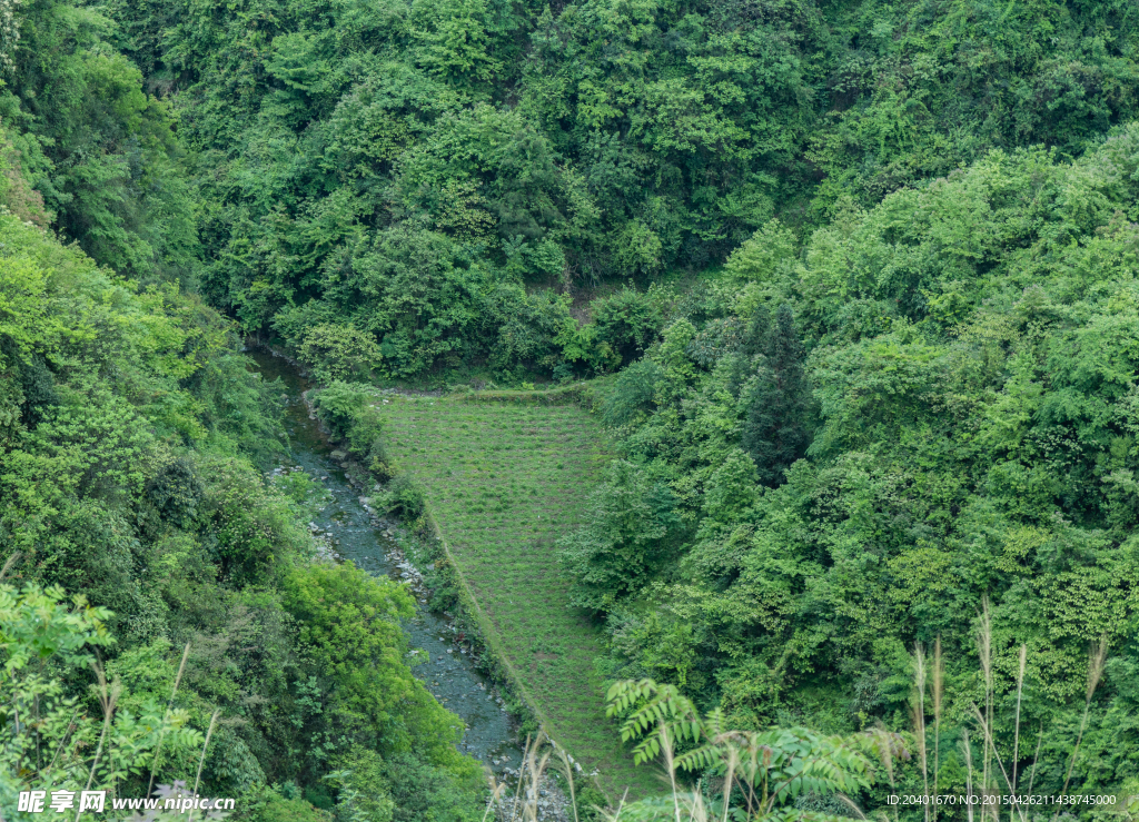 山水