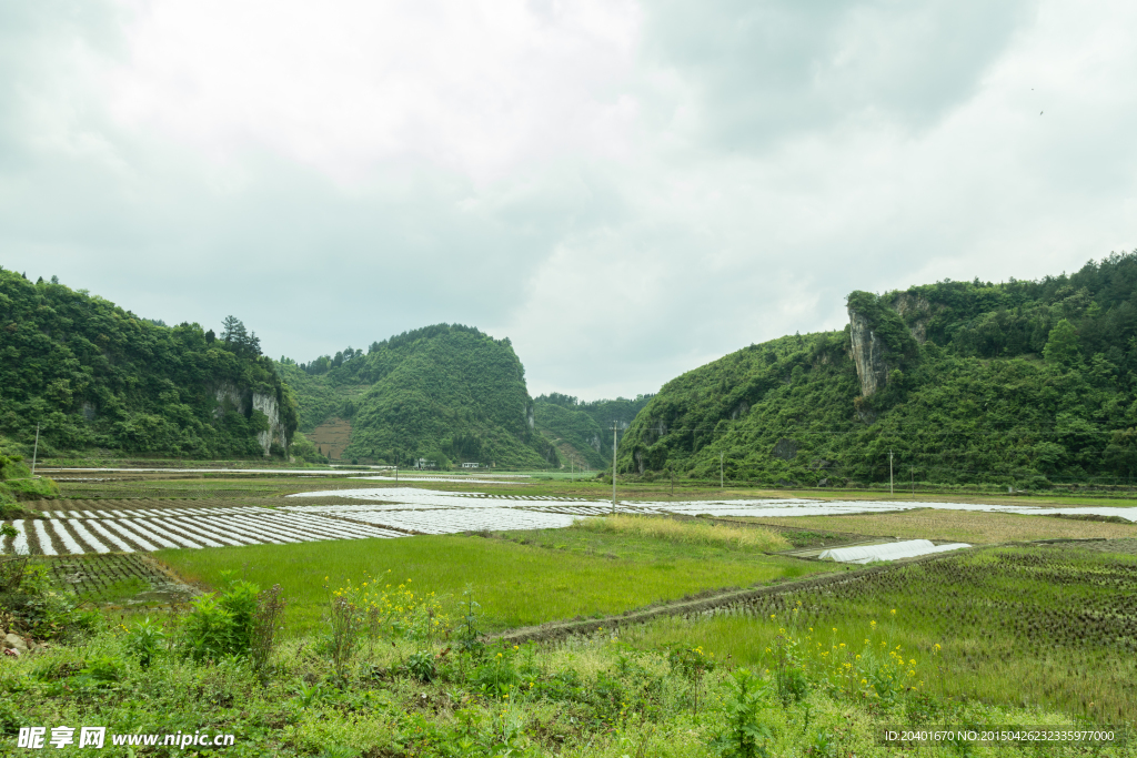 远山 田野