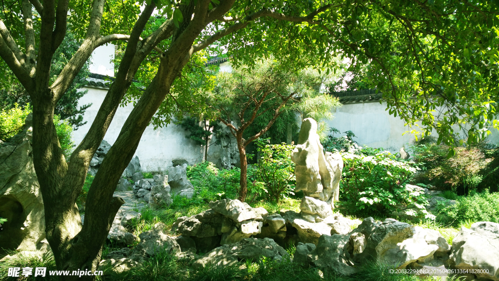 庭院