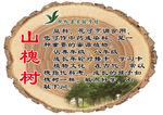 树挂树种介绍