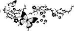 花纹