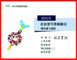 分析报告PPT