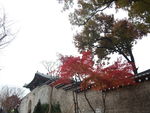 韩国风光