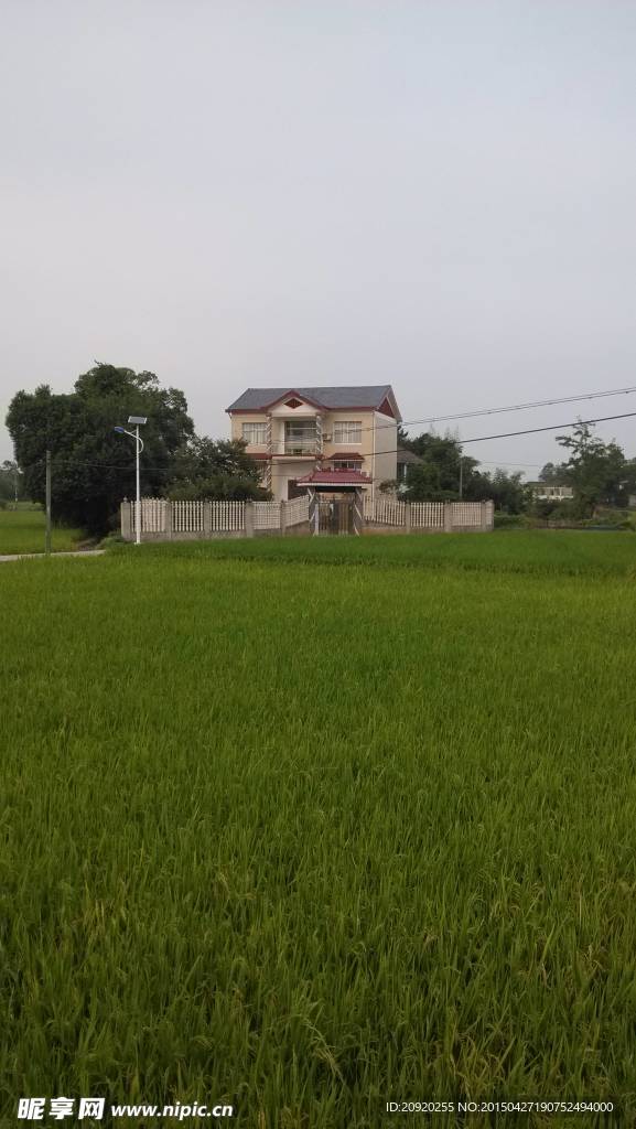 美丽的乡村