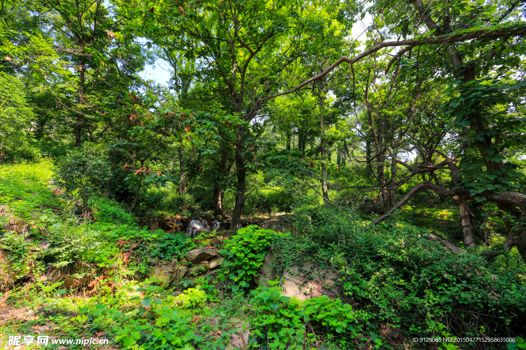 孔雀沟风景区