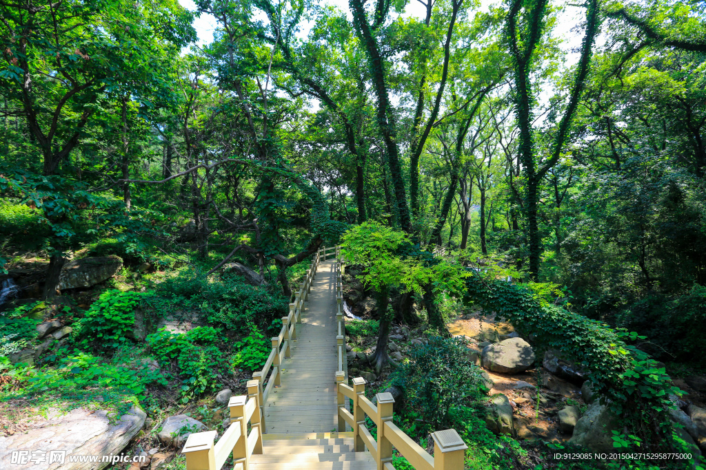 孔雀沟风景区
