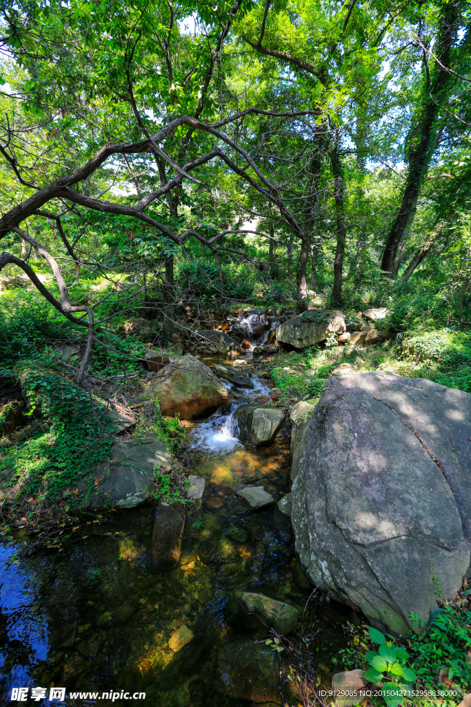 孔雀沟风景区